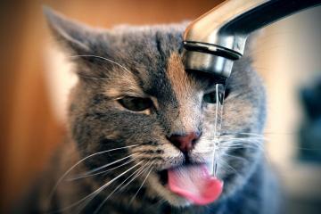 开云体育-双城记，当伯纳乌的草皮震颤，斯台普斯的地板在燃烧