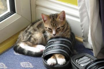 开云体育官方网站-基米希压制级发挥难救主，英格兰补时绝杀德国上演逆转奇迹