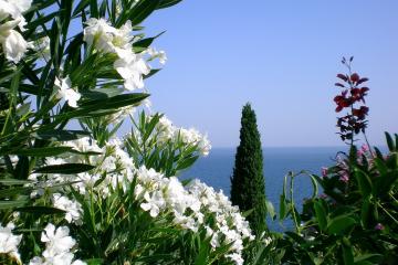 开云体育在线-跨越战火与绿茵，伊拉克对阵比利亚雷亚尔，托尼关键战不手软