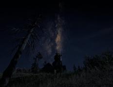 开云体育登录-奥运周期关键战，尼克斯淘汰赛过关辽宁队的焦点对决