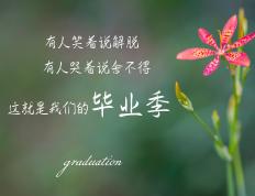 开云体育app-东契奇独舞提前终结悬念，国王团队发力击溃爵士