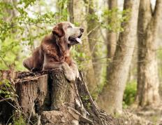 开云体育登录-本泽马替补绝杀！瑞典球队惊险逆转毕尔巴鄂