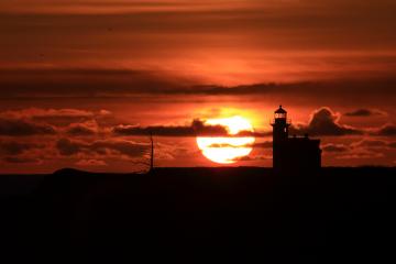 开云体育中国-当太极虎遭遇非洲雄狮，卢卡库攻防两端的巨兽统治启示录