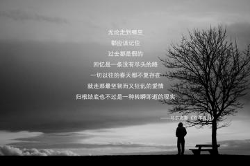 开云APP-帕尔默一剑封喉，法兰西军团战术碾压制胜，沙特雄心遭重击