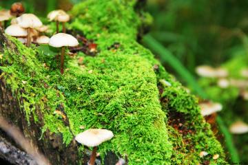 开云体育APP下载-皇马欧冠强势击溃多特蒙德，李刚仁2026世界杯闪耀接管比赛，足球新时代的双重奏