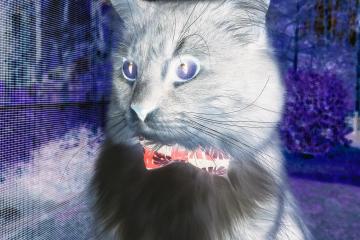 开云体育下载-奇才强行终结湖人，范弗利特点燃赛场，一场逆袭的篮球盛宴