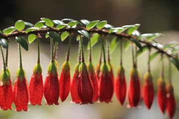 开云体育登录-加克波，现代足球战场上的关键先生，德国军团如何冲垮巴黎