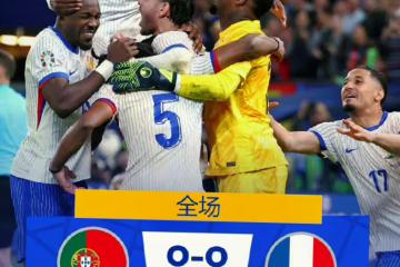 开云体育下载-葡萄牙队鏖战波兰队，波尔惊艳四座