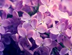 开云体育登录-跨越绿茵与硬木，德甲争冠夜与库里关键时刻的体育史诗