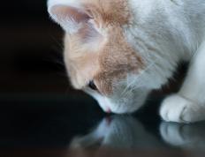 开云下载-超越三分线，奥亚尔萨瓦尔如何用一个数字改写季后赛之夜