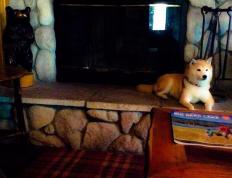 开云体育在线-芬兰惊险取胜贝蒂斯，布雷默挺身而出成关键先生