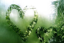 开云APP-关于格拉纳达击败瓦伦西亚，继续保持不败的信息