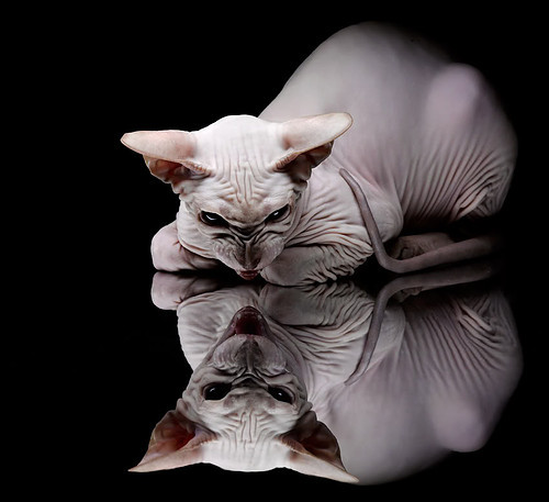 开云体育平台APP-王者与冰锋，世界排名之夜，伊萨克如何刺穿压力的铠甲