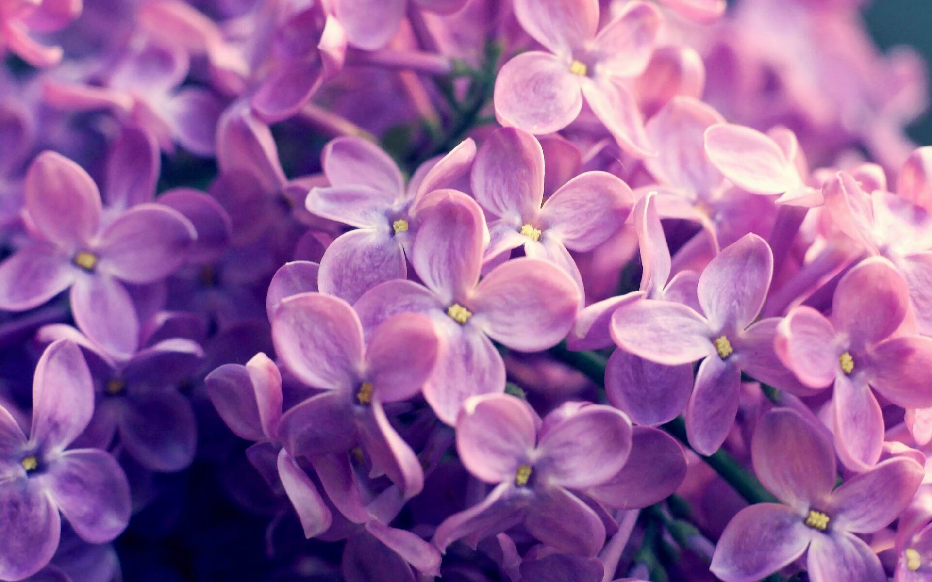 开云体育登录-跨越绿茵与硬木，德甲争冠夜与库里关键时刻的体育史诗