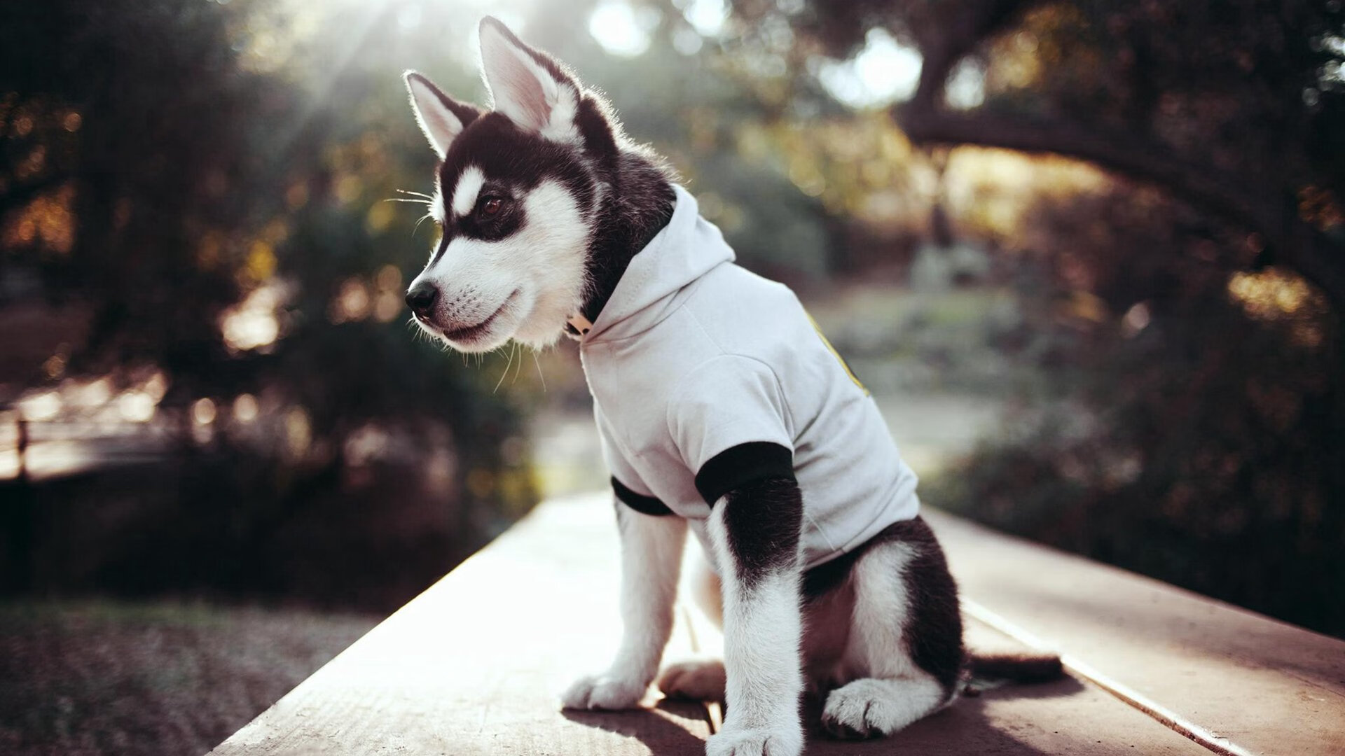 开云体育APP下载-雪崩来袭！芬兰黑马冰封梅阿查，欧冠史诗夜见证北欧神话击溃国际米兰