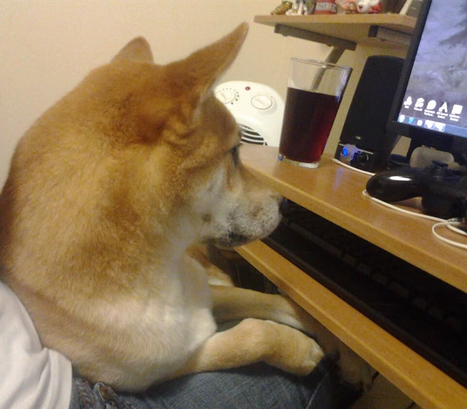 开云体育中国-牛气冲天,封喉深圳 年度焦点战公牛淘汰深圳队