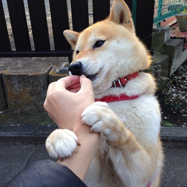 开云体育app-逆转时刻，巴西末节发力带走胜利，安哥拉虽败犹荣