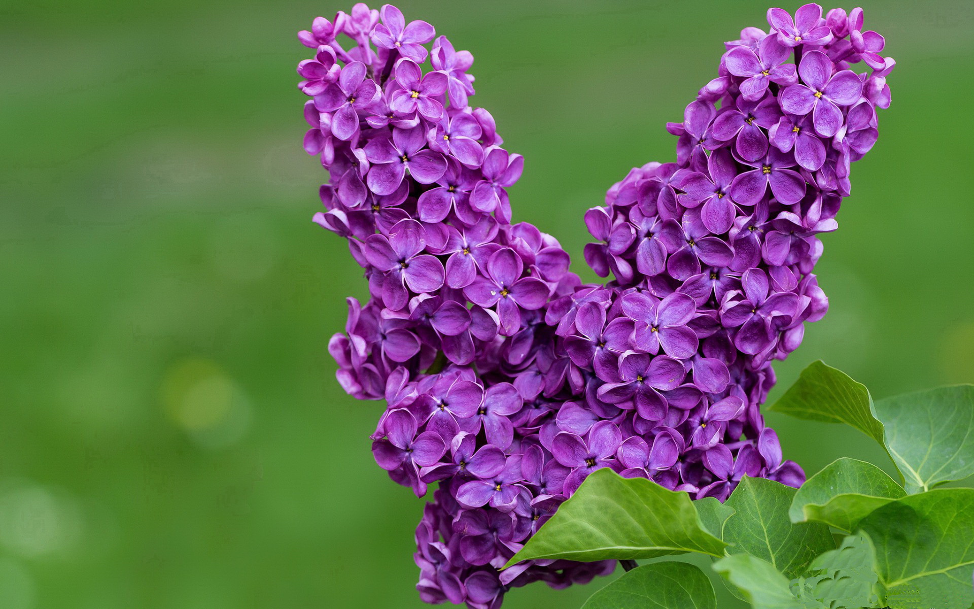 开云体育中国-阿森纳强压哥伦比亚，拉亚关键先生闪耀全场