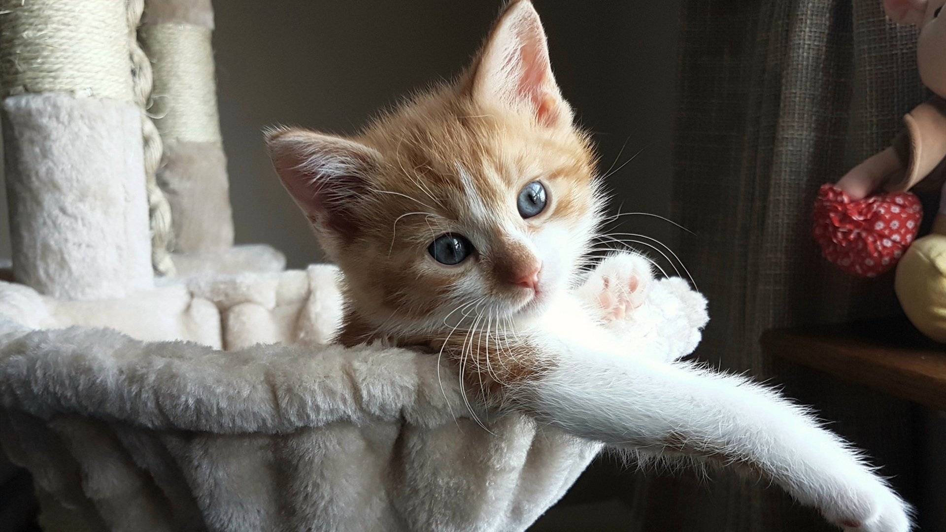 开云官网-乔治引领节奏风暴，活塞险胜鹈鹕展现团队进化