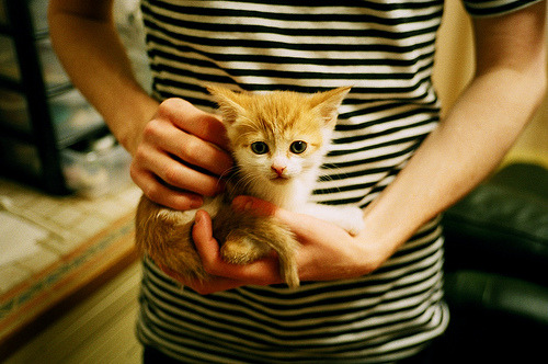 开云官网-霍勒迪天神下凡,黄蜂稳如磐石击退广东铁骑