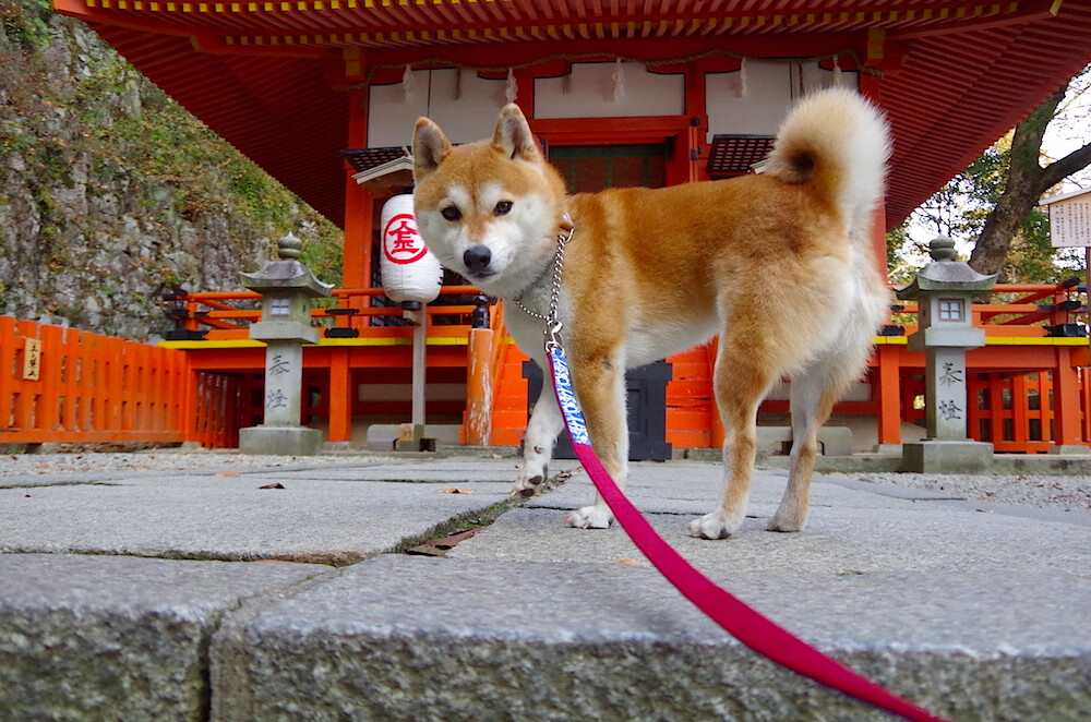 开云官网-铁血之躯，关键之王，字母哥总决赛之夜不留余地