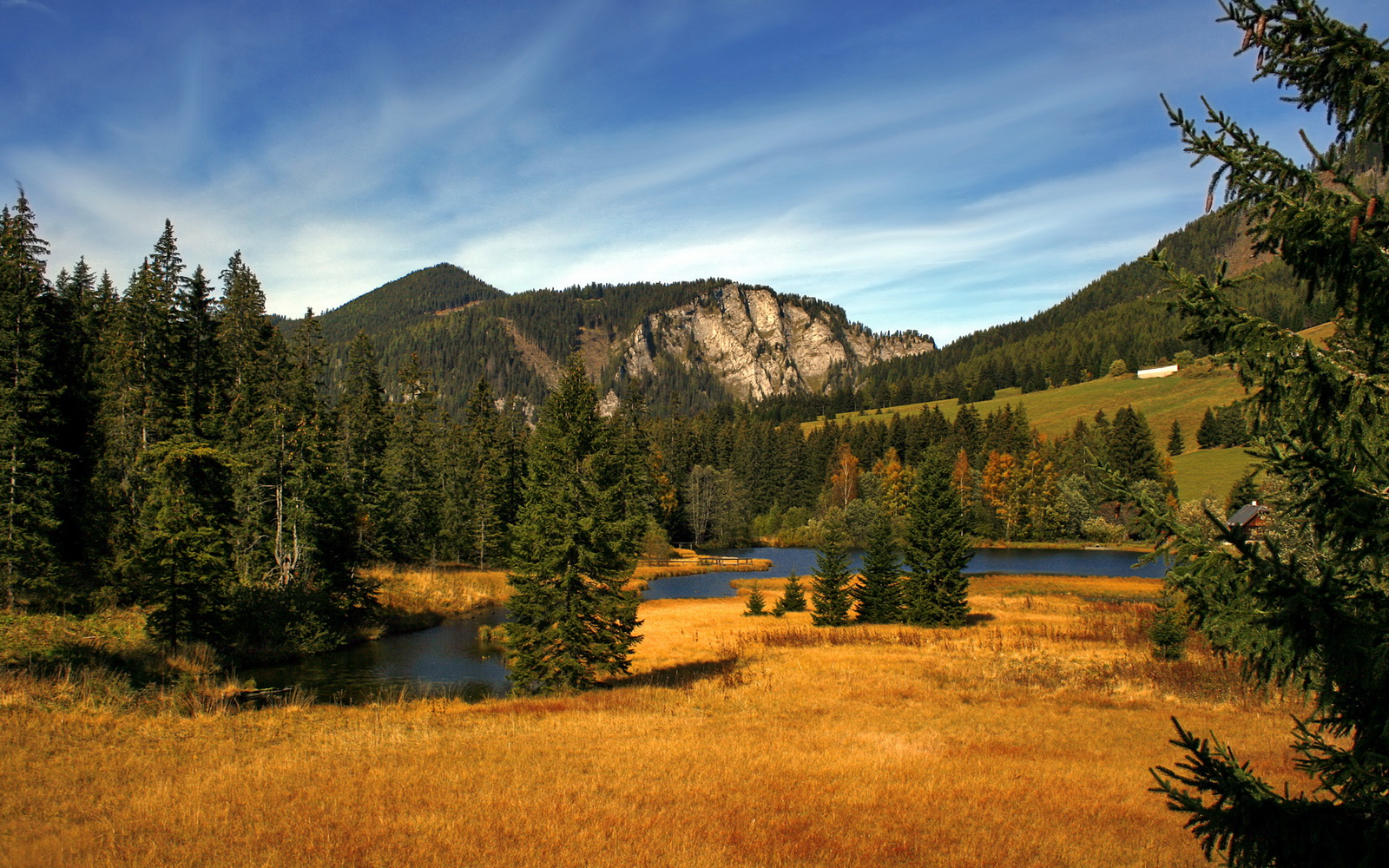 开云APP-美加墨世界杯焦点战，罗马巅峰对决胜出爱尔兰