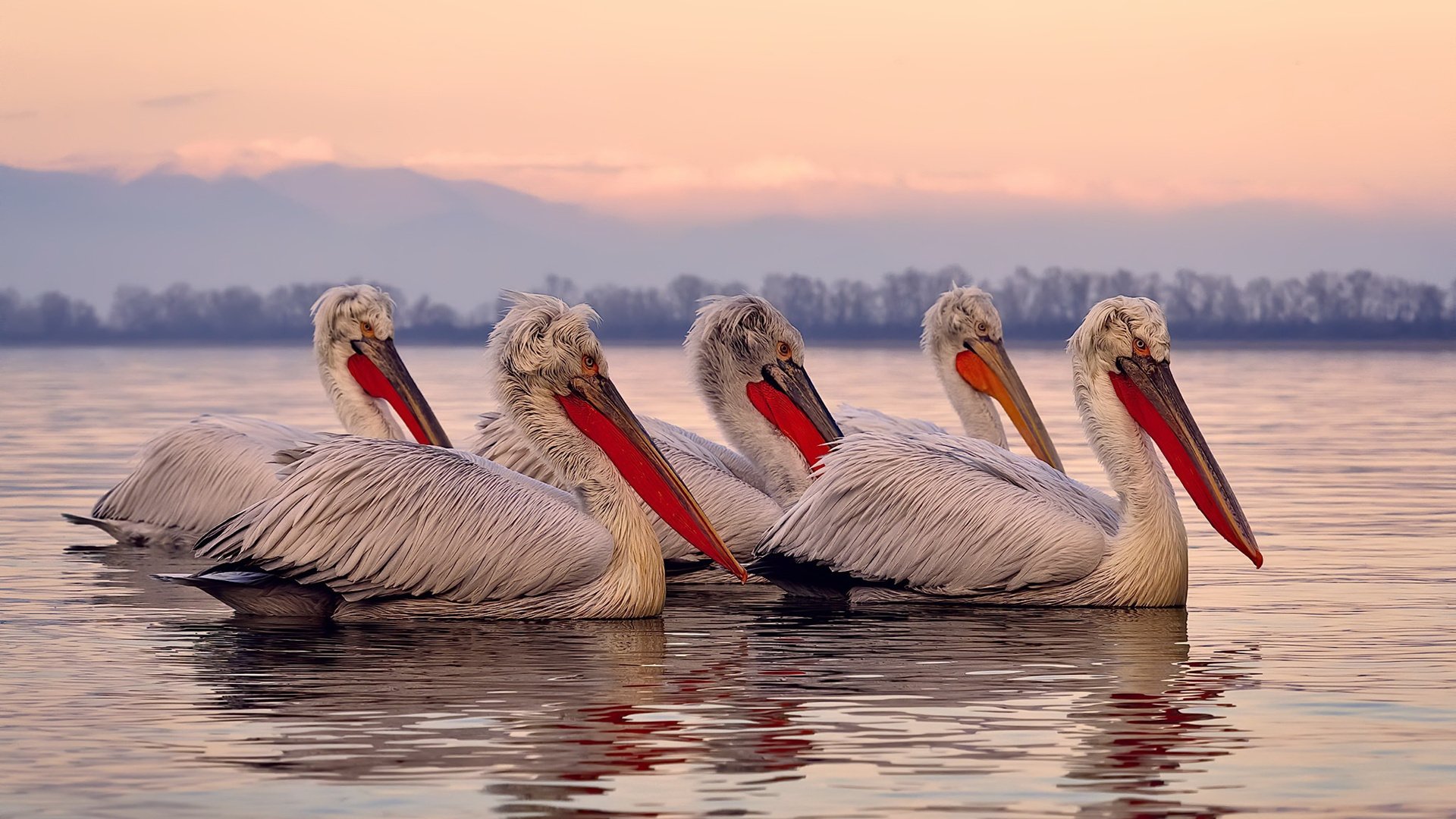 开云体育在线-德布劳内教足球与尼日利亚造逆转，绿茵场的冰与火之歌