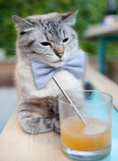 开云体育下载-北非风暴席卷北美,阿尔及利亚战术封锁终结墨西哥世界杯征程