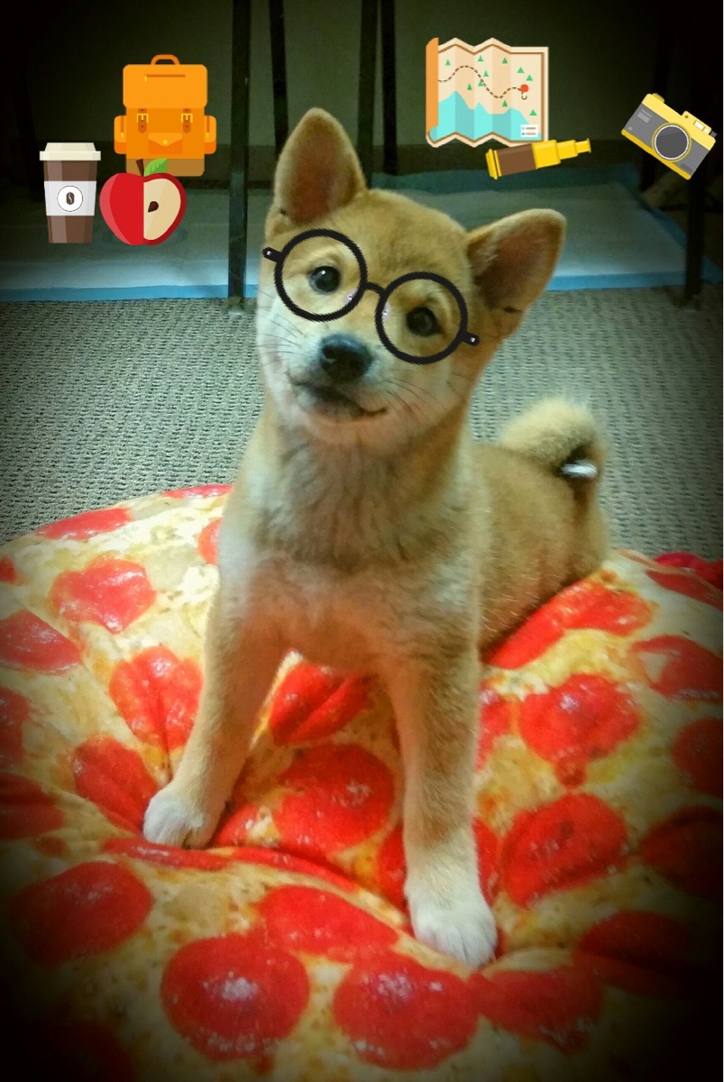 开云体育APP下载-英美决战，福登一箭刺穿资本神话