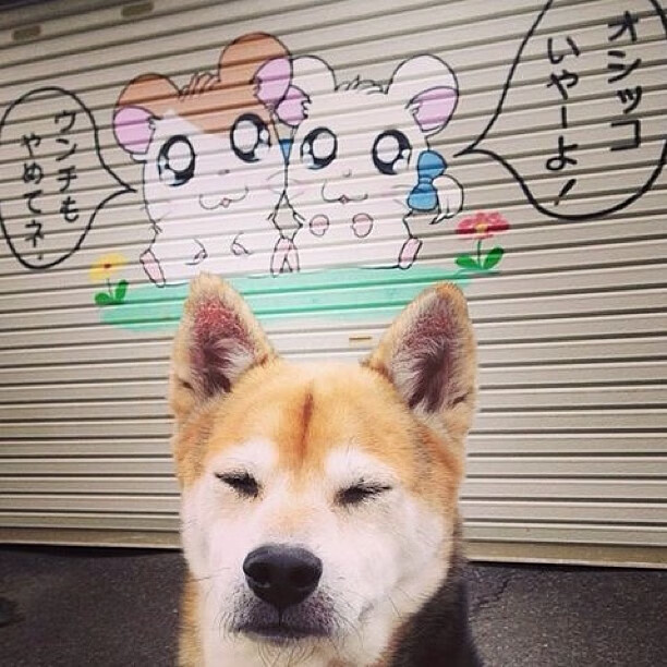 开云体育在线-暗夜利爪,达龙·福克斯的季后赛掌控时刻