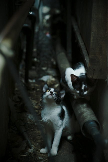 开云APP-足球世界的抢七之夜，摩洛哥用战术铁幕绞杀利物浦